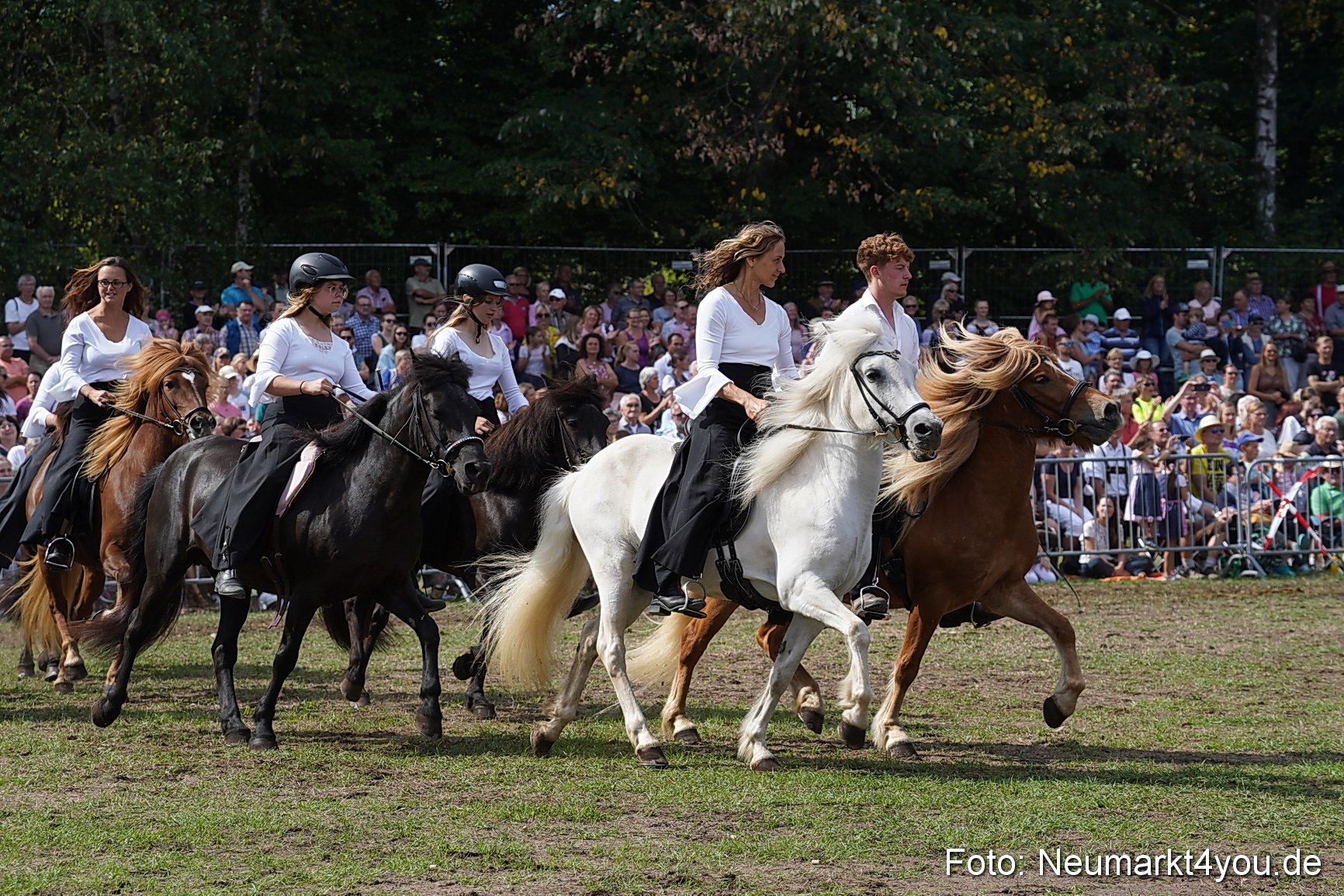 Pferde und Fohlenschau 2022 0281 